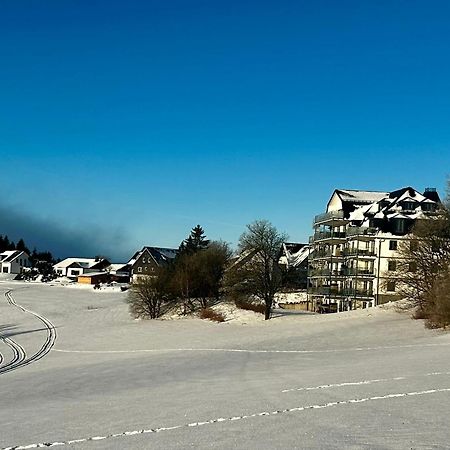 Astenblick Apartments Winterberg With Sauna Eksteriør bilde